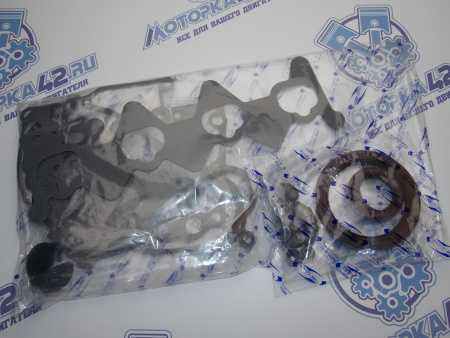 Ремкомплект двигателя PMС Hyundai / Kia G4EC