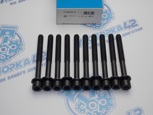 Комплект болтов VR ГБЦ 10шт NISSAN QR20DE, QR25DE, VK56DE, VK45DE