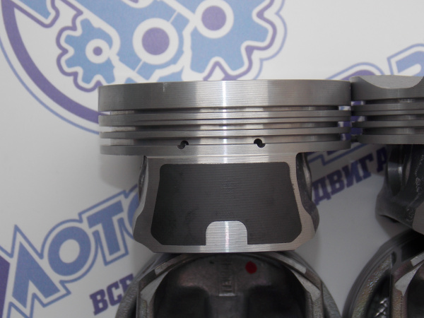 Поршни + кольца к-кт 4шт ремонт +0,50 EP6, N12B16