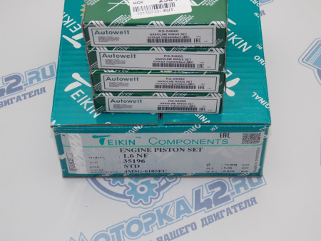 Поршни + кольца к-кт 4шт стандарт FORD Focus 115л.с.