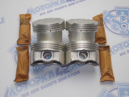 Поршни + кольца 4шт стандарт TOYOTA 2NZ-FE