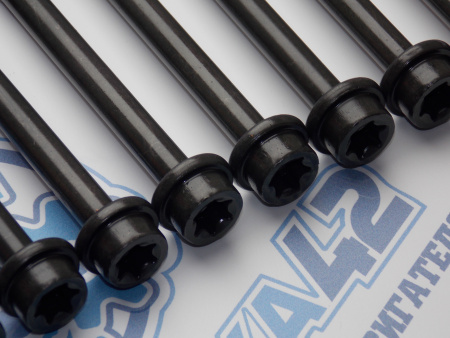 Комплект болтов ГБЦ 10шт FORD / MAZDA 1,8 / 2,0