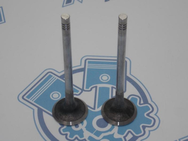 Клапан вЫпускной VAG 