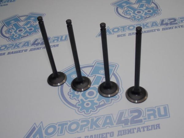 Клапан вЫпускной PARTS-MALL G4CN, G4CP, G4JP '98-