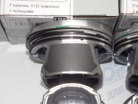 Поршни + кольца к-кт 4шт стандарт EP6, N12B16