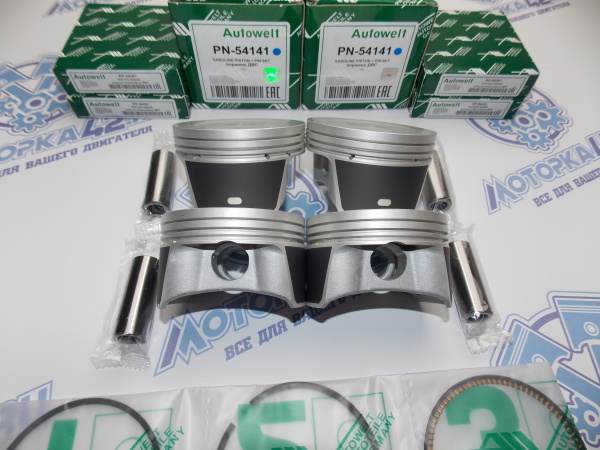 Поршни + кольца 4шт ремонт +0,50 FORD Focus 100л.с.