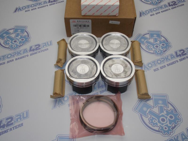 Поршни + кольца 4шт ремонт +0,25 Chery Tiggo 2.0 без стопоров