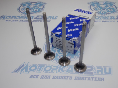 Клапан вЫпускной FRECCIA для FORD 2.2D