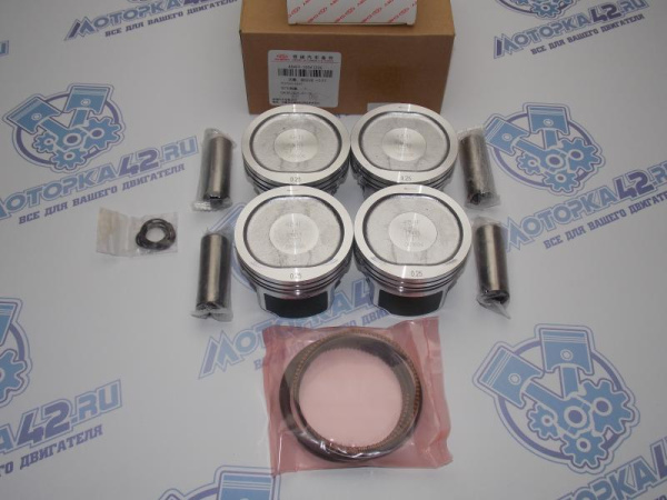 Поршни + кольца 4шт ремонт +0,25 Chery Tiggo 2.0 со стопорами