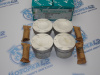 Поршни + кольца к-кт 4шт ремонт +0,25 GM F14D3