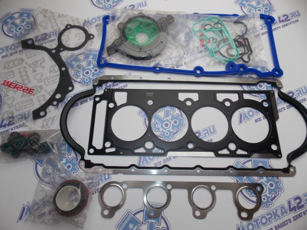 Ремкомплект двигателя FORD FOCUS 1 Zеteс Rосam 